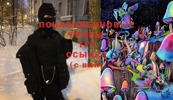 mdpv Переславль-Залесский