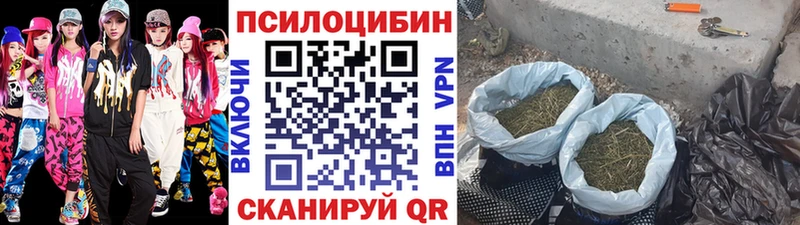 Галлюциногенные грибы прущие грибы купить Ардон